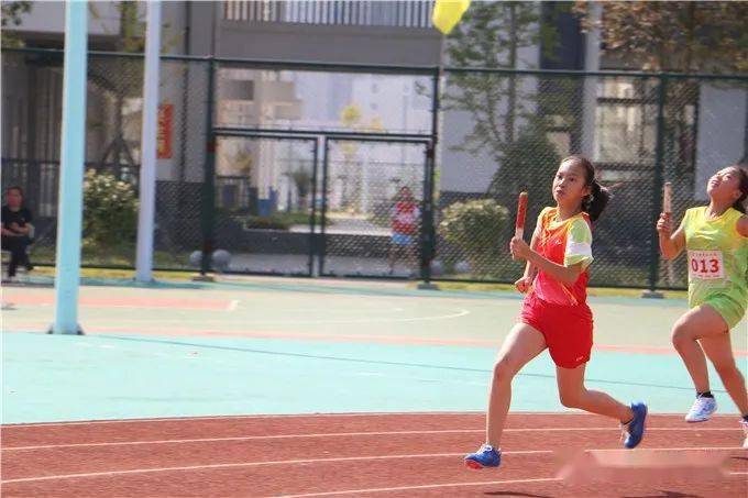  电竞新星闪耀赛场，青年选手勇夺桂冠